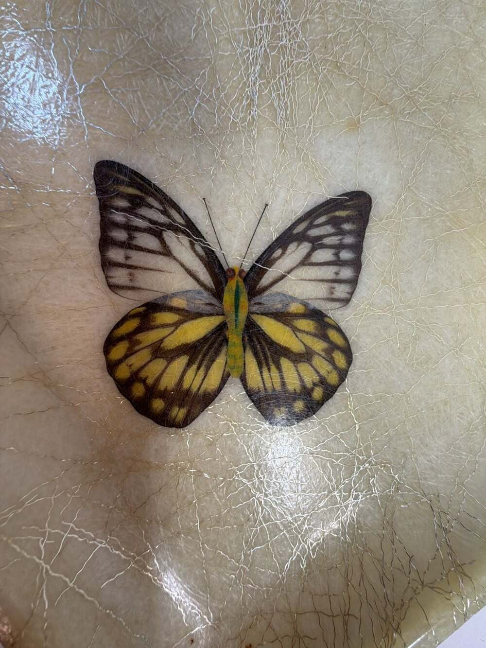 Vintage Mid-Century Modern Fiberglass Butterfly Serving Tray - Picture 2 of 5